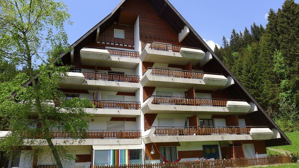 Anémone 2/16