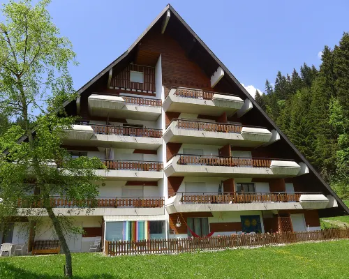 Anémone 2/16 Hotels in Gryon