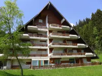 Anémone 2/16