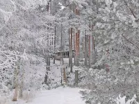 Näätämö Hotels in Asikkala