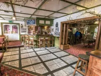 Mc Kevitts Village Hotel - bar