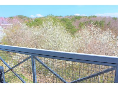 ホテルからの眺望 ルネサンス棚倉の写真