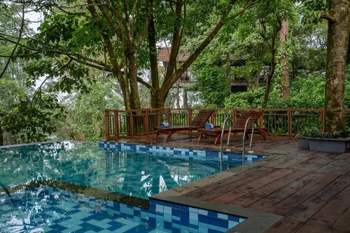 Vythiri Mist Resort