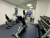 Holiday Inn Express & Suites TAMPA NORTHWEST-OLDSMAR by IHG - Gym