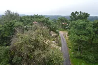 Orange Homestay, Shillong