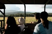 Tzaneen Country Lodge - วิว
