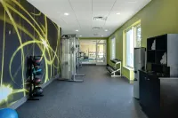 Hilton Garden Inn Detroit Metro Airport - نادي رياضي