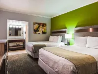 شور ستاي إنسويتس فينيكس هوتل آند سويتس باي بست ويسترن Hotels near الجبل الشمالي