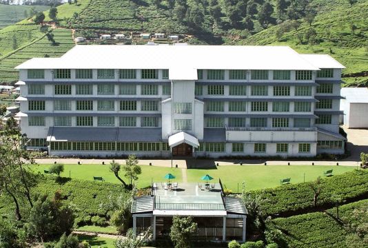 헤리턴스 티 팩토리