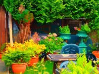 Arbour Guest House