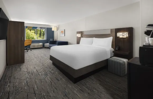 智選假日酒店-博塞爾