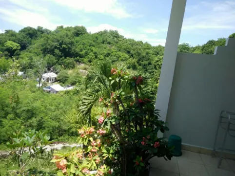 CF Komodo Hotel Рядом с отелем Photos