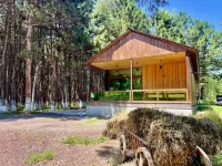 Milenium Villa Hotels near Sevanavank Monastery