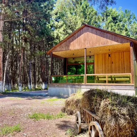 Milenium Villa Отели в г. Севан