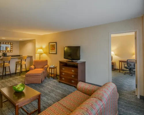 Holiday Inn ARLINGTON AT BALLSTON by IHG Kamar Photos