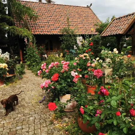 Lower Saxony warehouse with a cozy country house atmosphere for up to 6 people