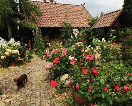 Lower Saxony warehouse with a cozy country house atmosphere for up to 6 people Hoteles en Lehrte