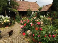 Lower Saxony warehouse with a cozy country house atmosphere for up to 6 people