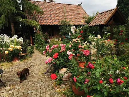 Lower Saxony warehouse with a cozy country house atmosphere for up to 6 people Отели в г. Лерте