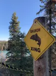 Cabin 2 on the Kenai River