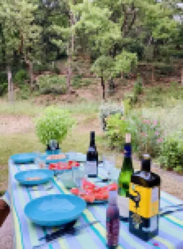 Au Coeur de la Forêt en Drôme Provençale - swimming pool