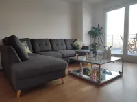 Apartment near Paris ORLY CDG Terrace parking Hotels in Bagneux