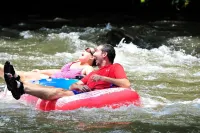 Wilderness Cove Campground - 4-Star