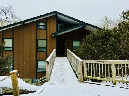 Ski in/out, AC, Gas Fireplace, Wifi, Coffee Bar, 1 Dog ok!