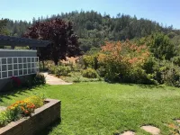 Wine Country Retreat with Pool, Vineyard, Trampoline, Putting Green and Hot Tub