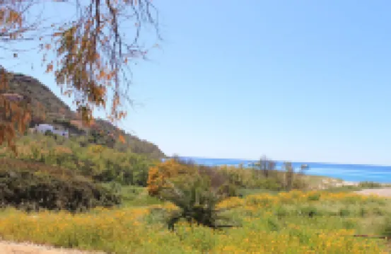 Torre delle Stelle Apartment 50 meters from the sea