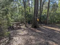 North Central FL Oasis - Unplug, Recharge, Reconnect