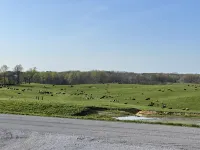 Sip & Stay at StarView Vineyards Hotels in Union County
