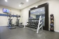 Hampton Inn Toledo/Oregon - Gym
