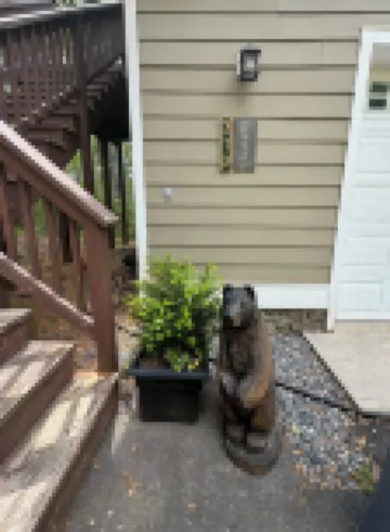 Wandering Bear’s Den Private Studio Near Crozet and Charlottesville