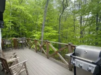 Beautiful new modern cabin with 100 feet of shoreline on Long Lake