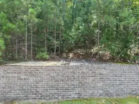 Spacious Home with Peaceful Wooded Backyard