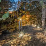 Experience nature in your cozy Munds Park 4-bedroom cabin by Coconino Forest