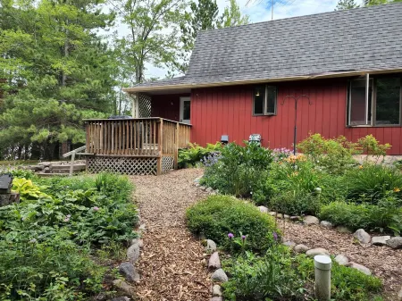 Quiet Cottage in the Woods on the Edge of Town