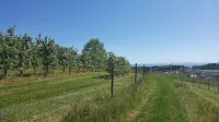 Large modern 106m² large apartment in Friedrichshafen-Berg