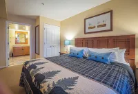 Cozy 1-bedroom condo-Ski in/out/Waterpark/King Bed/WIFI/Parking Hotels in Vernon