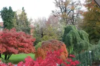 San Francesco Guest House