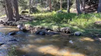 Glen Haven Mod on the River 23-Zone3419