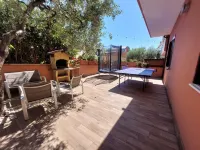 The house of olive trees