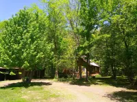 Little house in the woods but only 5 minutes from town!