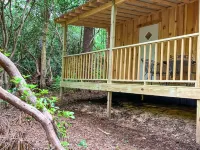 •New• Tiny Home Getaway Hotels in Hogback