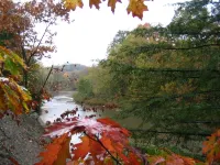 6 Bedroom Cottage Retreat with Conneaut Creek access