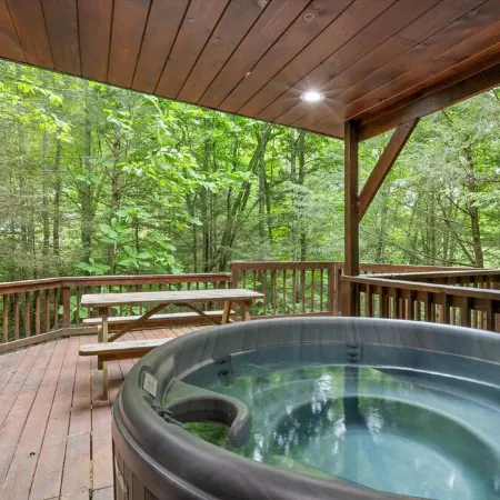 Fern Gulley Cabin with Hot Tub, Pet Friendly,  near DBBB / Hollerwood
