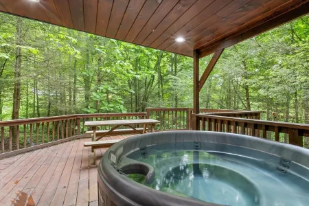 Fern Gulley Cabin with Hot Tub, Pet Friendly,  near DBBB / Hollerwood