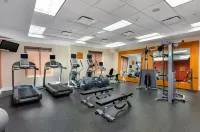 Hilton Garden Inn Mobile West I-65/Airport Blvd. - Gym