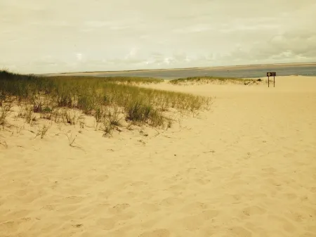 Dennisport : Dog Friendly with a fenced in large yard. 1/2 mile from beach Отели рядом с достопримечательностью «Парк Си Вью»